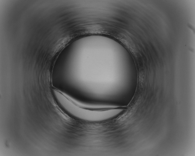 X0000098090397200804251300