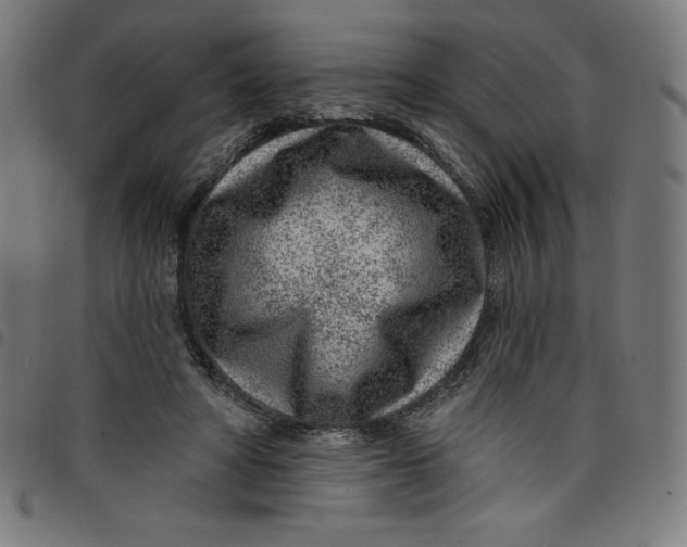 X0000098090402200804251300