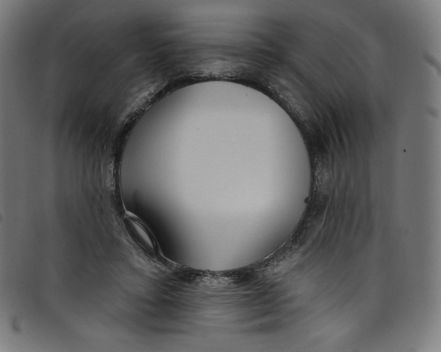 X0000098090403200804251300