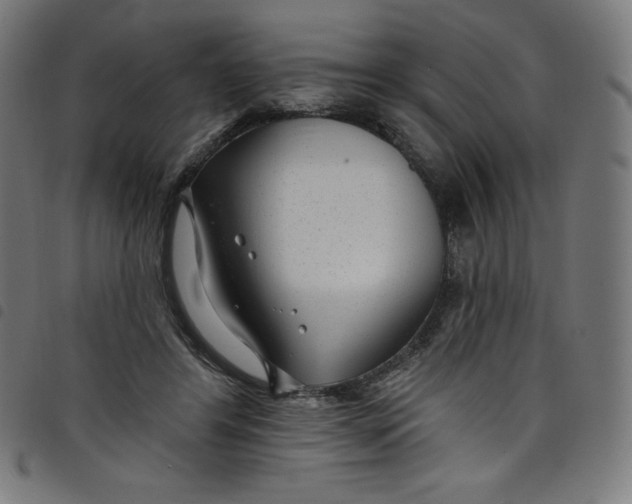 X0000098090404200804251300