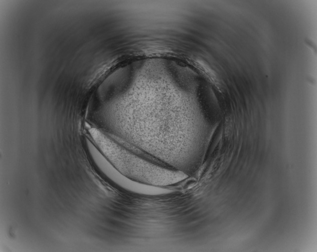 X0000098090405200804251300