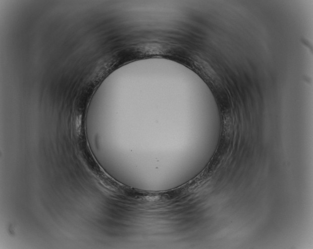 X0000098090406200804251300