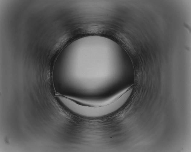 X0000098090407200804251300