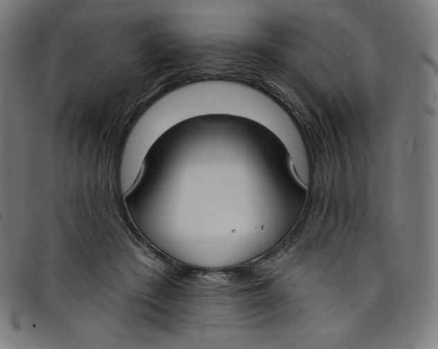 X0000098090409200804251300