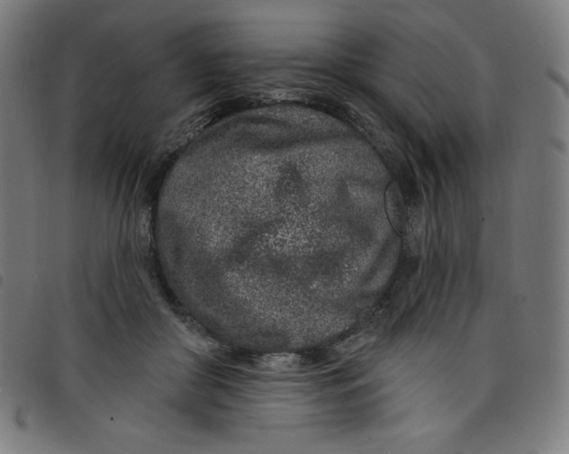 X0000098090410200804251259