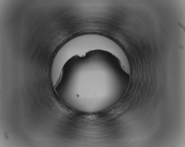 X0000098090411200804251259