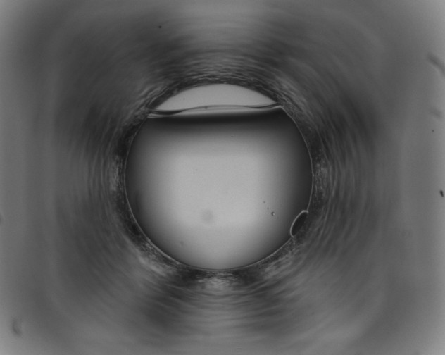 X0000098090412200804251259