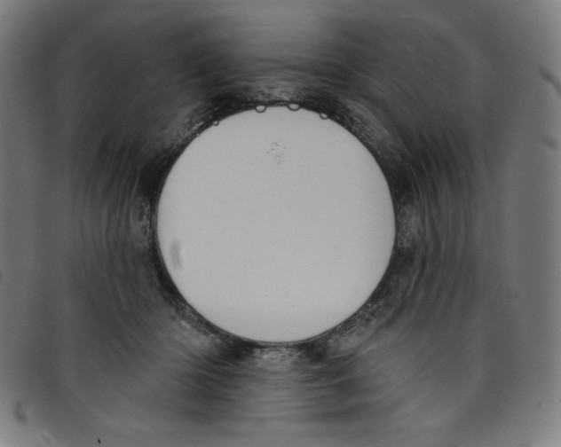 X0000098090414200804251259