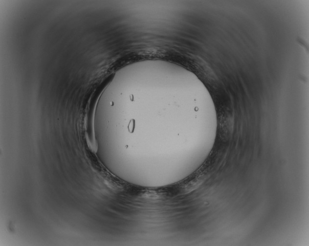 X0000098090416200804251259