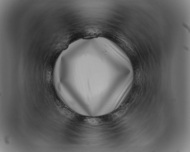 X0000098090417200804251259