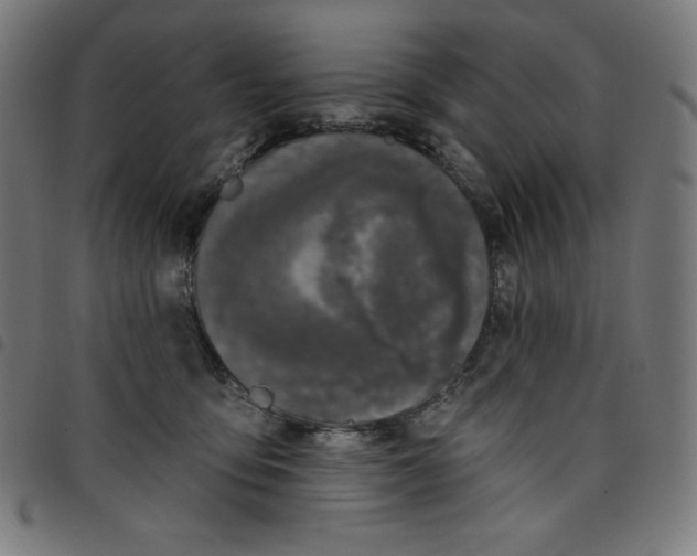 X0000098090419200804251259