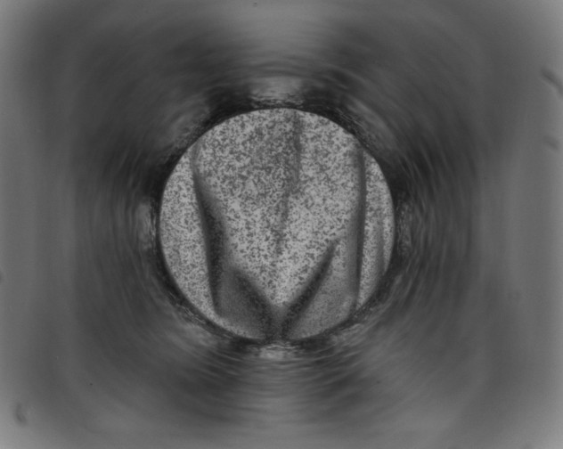 X0000098090420200804251259