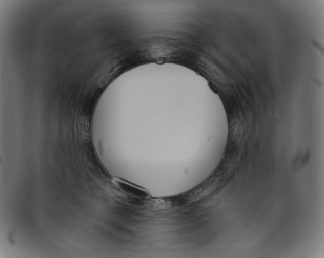 X0000098090421200804251259