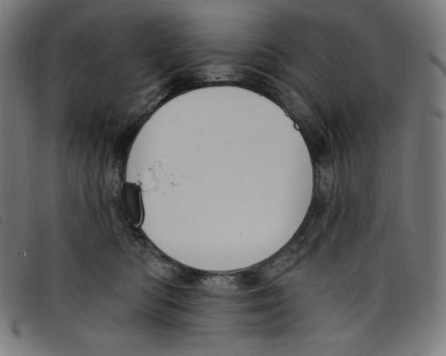 X0000098090422200804251259