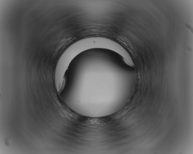 X0000098090423200804251259