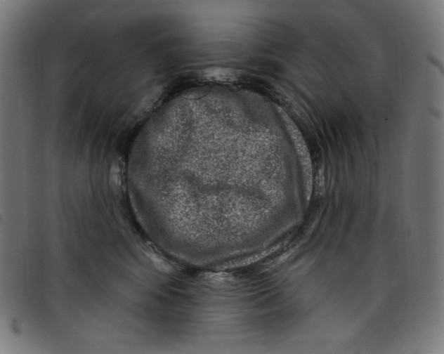 X0000098090424200804251259