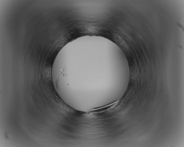 X0000098090425200804251259