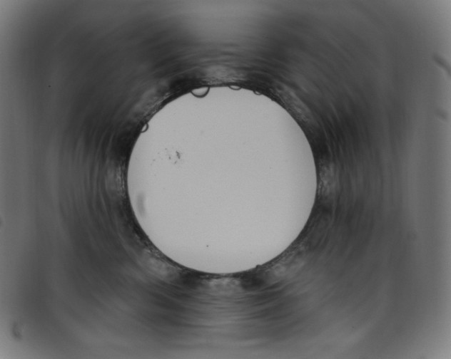 X0000098090426200804251259