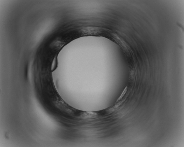 X0000098090429200804251259