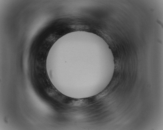 X0000098090430200804251259