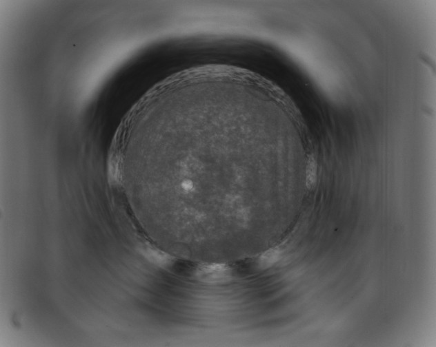 X0000098090431200804251259