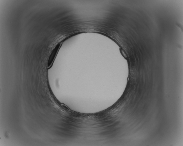 X0000098090433200804251258