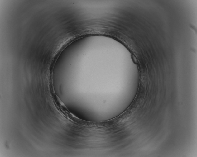 X0000098090434200804251258