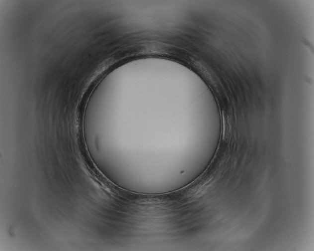 X0000098090435200804251258