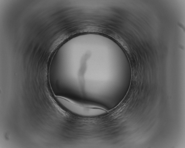 X0000098090437200804251258