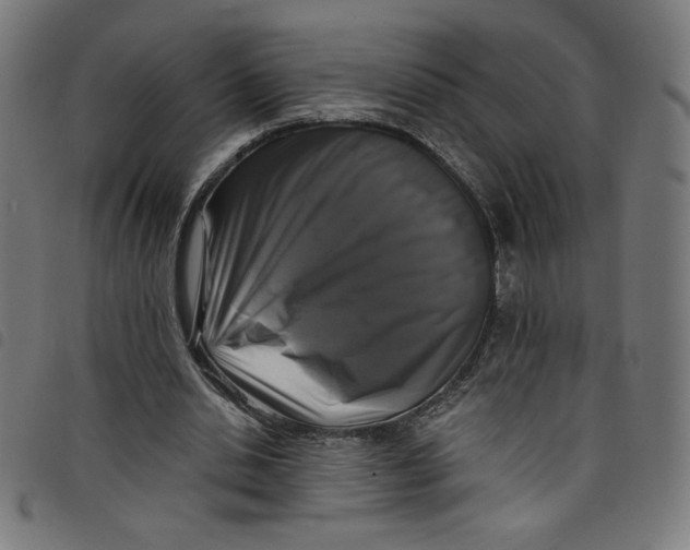 X0000098090438200804251258