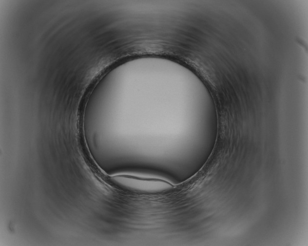 X0000098090439200804251258