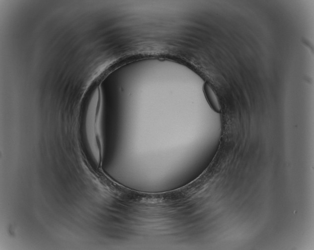 X0000098090440200804251258