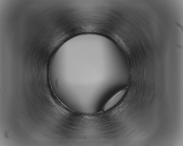 X0000098090442200804251258