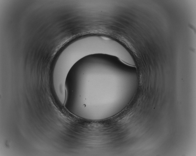 X0000098090444200804251258