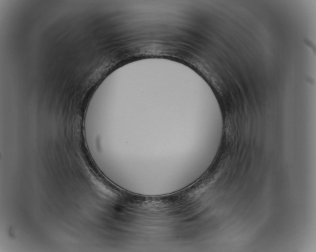 X0000098090445200804251258