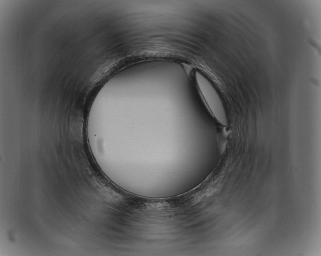 X0000098090446200804251259