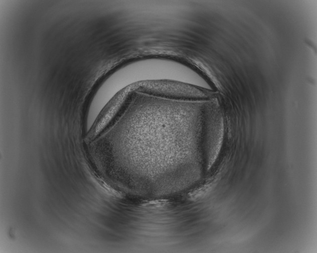 X0000098090447200804251259