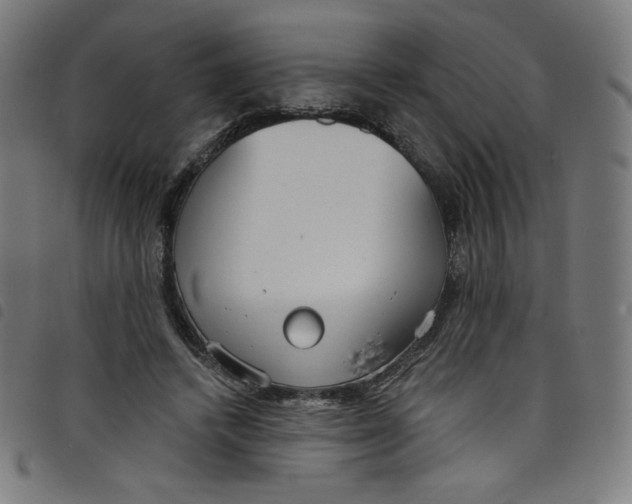 X0000098090448200804251259