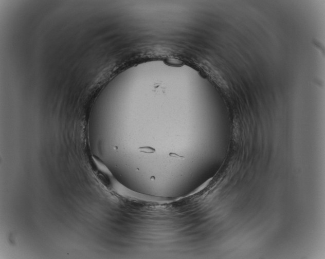 X0000098090449200804251259