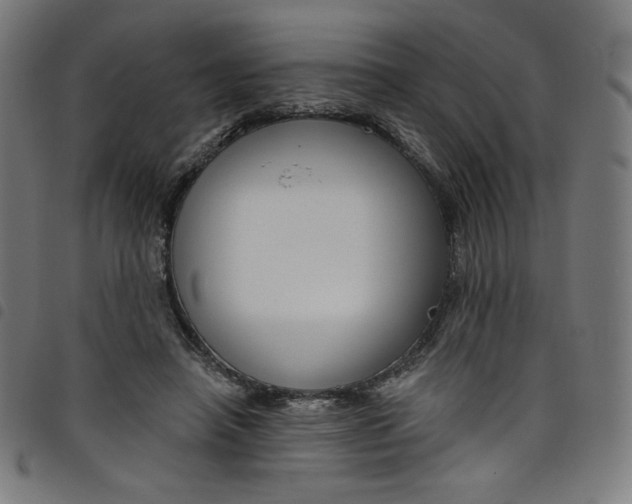 X0000098090450200804251259