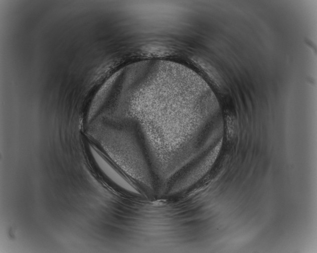 X0000098090451200804251259