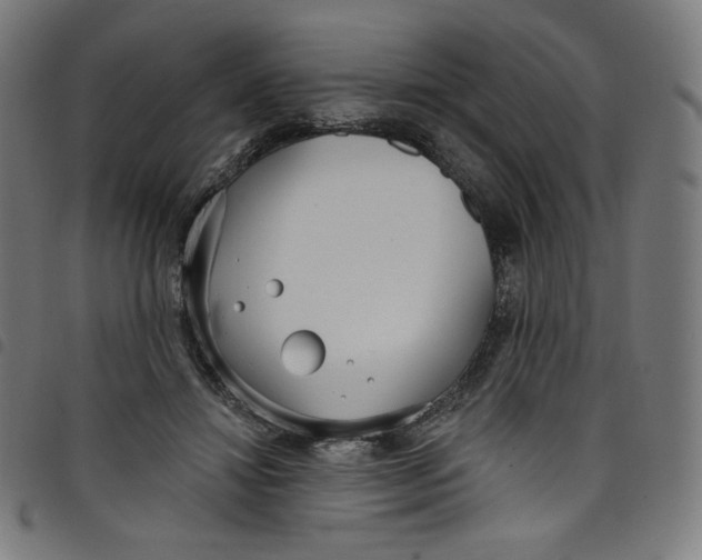 X0000098090452200804251259