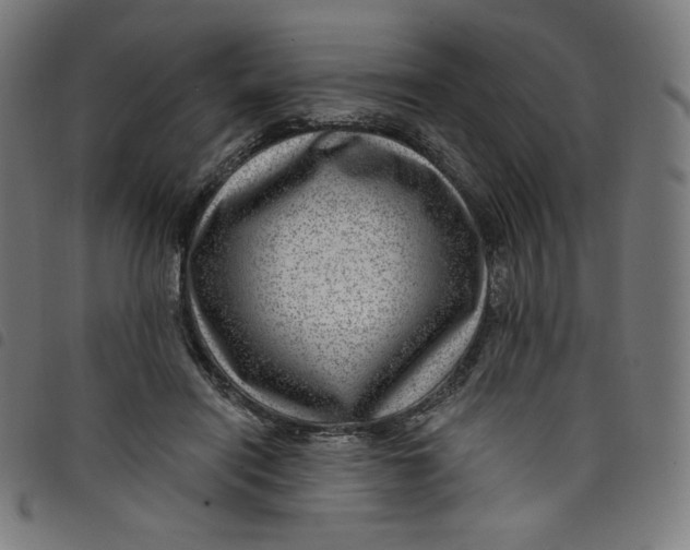 X0000098090454200804251259