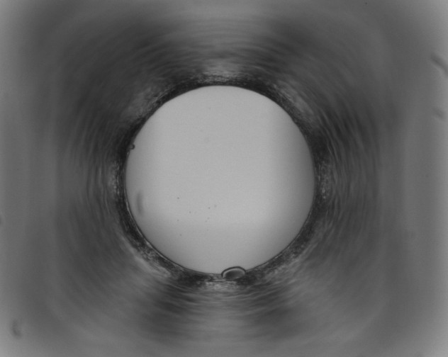 X0000098090455200804251259