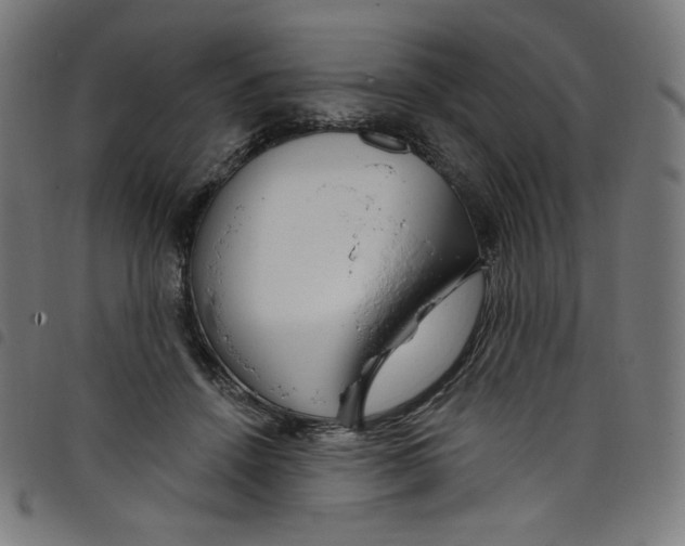 X0000098090456200804251259