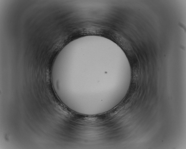 X0000098090457200804251259