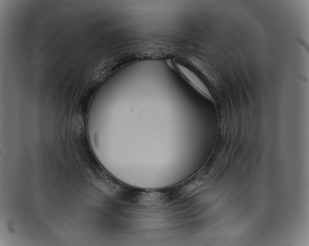 X0000098090459200804251259