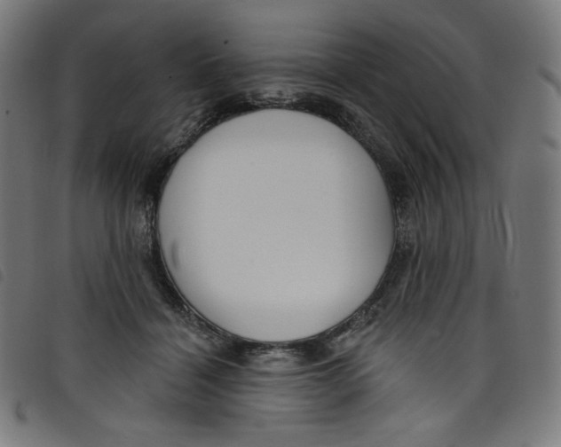 X0000098090460200804251259