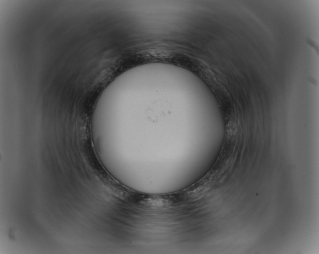 X0000098090464200804251259