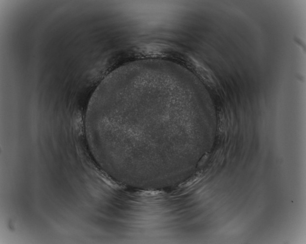 X0000098090465200804251259